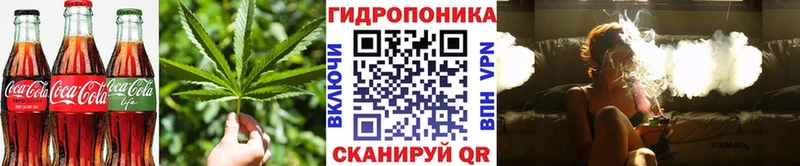 закладка MEGA как войти Печенье с ТГК марихуана Красновишерск