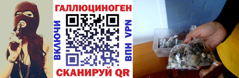 сайты даркнета как зайти  Красновишерск  Псилоцибиновые грибы мухоморы 
